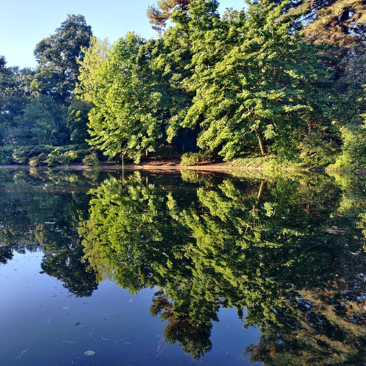 Plantentuin Gent